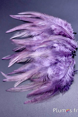 Gallo - 8-12 cm - lilla-grigio